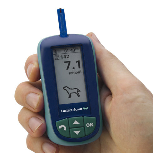 Lactate Scout Vet