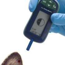 Lactate Scout Vet
