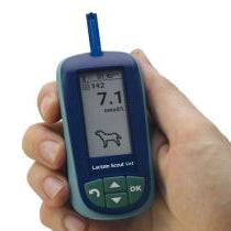 Lactate Scout Vet