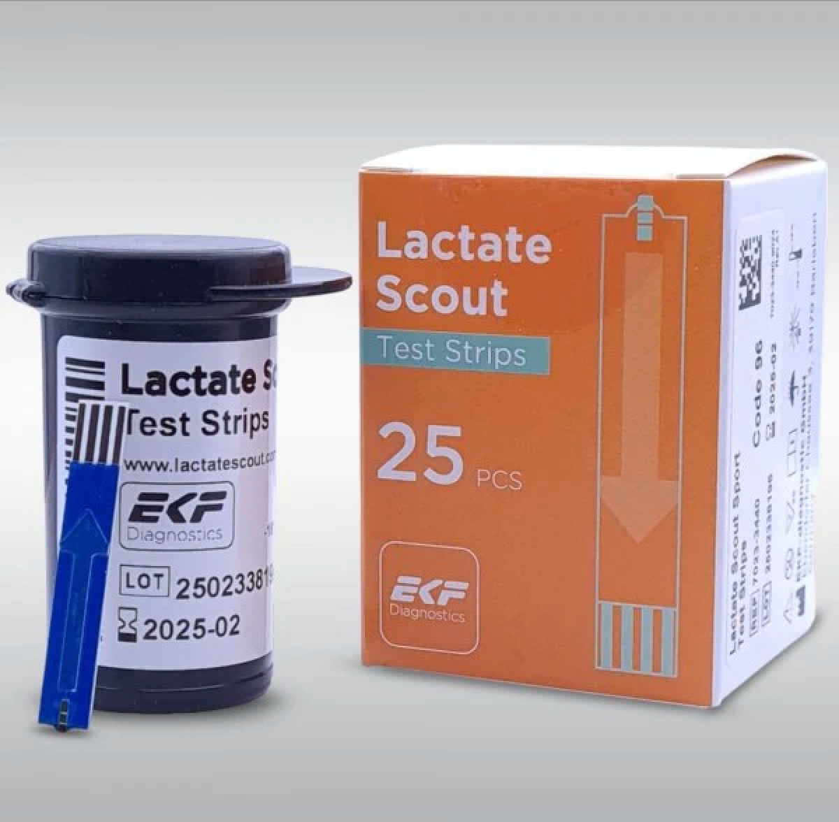 Teststickor till Lactate Scout 25 st