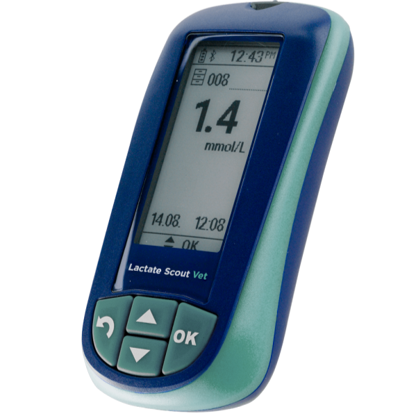 Lactate Scout Vet