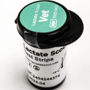 Lactate Scout Vet Teststickor